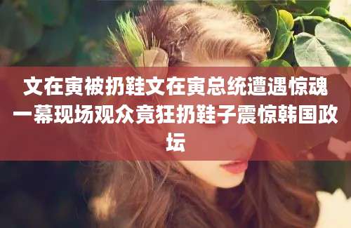 文在寅被扔鞋文在寅总统遭遇惊魂一幕现场观众竟狂扔鞋子震惊韩国政坛