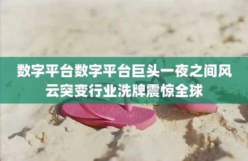 数字平台数字平台巨头一夜之间风云突变行业洗牌震惊全球