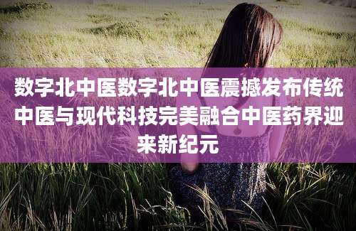 数字北中医数字北中医震撼发布传统中医与现代科技完美融合中医药界迎来新纪元