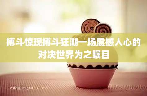搏斗惊现搏斗狂潮一场震撼人心的对决世界为之瞩目