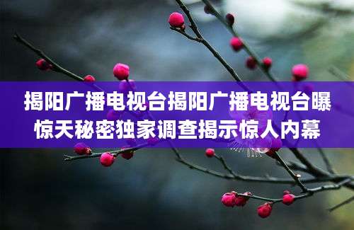 揭阳广播电视台揭阳广播电视台曝惊天秘密独家调查揭示惊人内幕