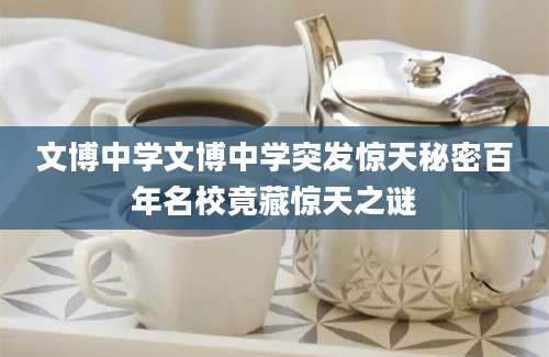 文博中学文博中学突发惊天秘密百年名校竟藏惊天之谜