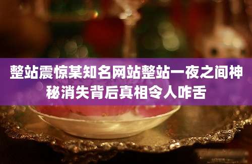 整站震惊某知名网站整站一夜之间神秘消失背后真相令人咋舌