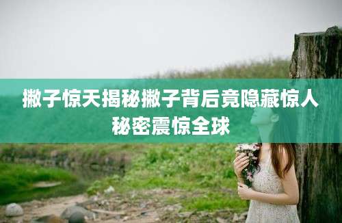 撇子惊天揭秘撇子背后竟隐藏惊人秘密震惊全球