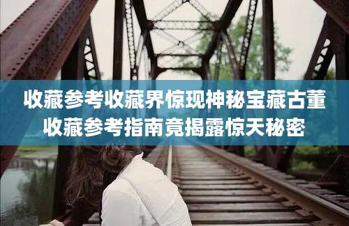 收藏参考收藏界惊现神秘宝藏古董收藏参考指南竟揭露惊天秘密