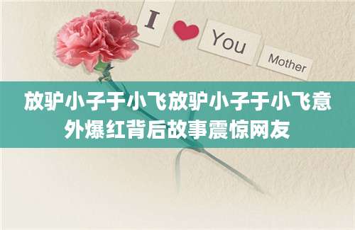 放驴小子于小飞放驴小子于小飞意外爆红背后故事震惊网友