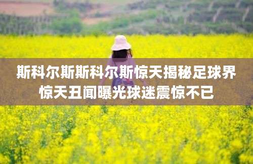 斯科尔斯斯科尔斯惊天揭秘足球界惊天丑闻曝光球迷震惊不已