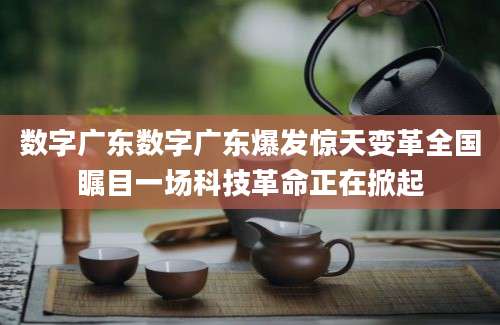 数字广东数字广东爆发惊天变革全国瞩目一场科技革命正在掀起