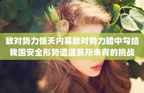 敌对势力惊天内幕敌对势力暗中勾结我国安全形势遭遇前所未有的挑战