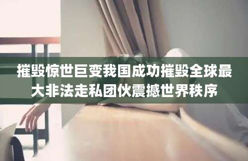 摧毁惊世巨变我国成功摧毁全球最大非法走私团伙震撼世界秩序