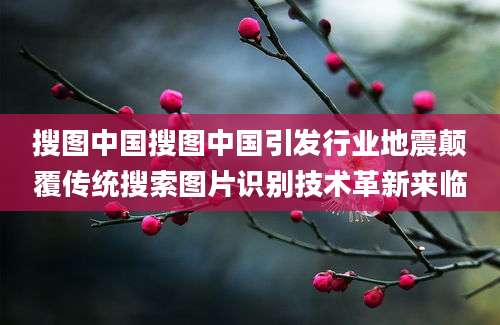 搜图中国搜图中国引发行业地震颠覆传统搜索图片识别技术革新来临