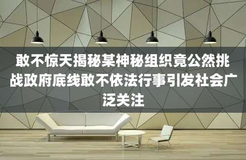 敢不惊天揭秘某神秘组织竟公然挑战政府底线敢不依法行事引发社会广泛关注