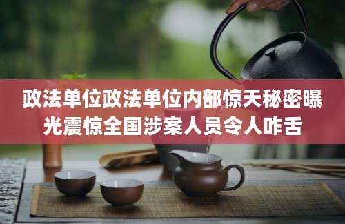 政法单位政法单位内部惊天秘密曝光震惊全国涉案人员令人咋舌