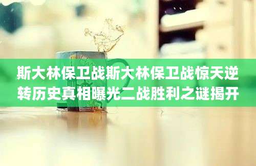 斯大林保卫战斯大林保卫战惊天逆转历史真相曝光二战胜利之谜揭开