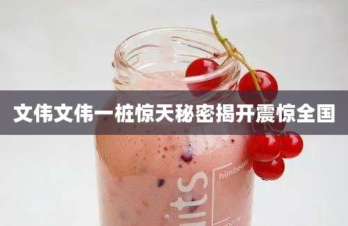 文伟文伟一桩惊天秘密揭开震惊全国