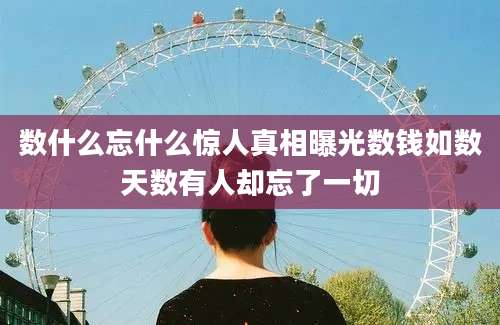 数什么忘什么惊人真相曝光数钱如数天数有人却忘了一切