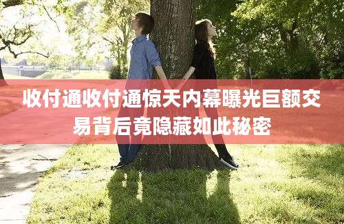 收付通收付通惊天内幕曝光巨额交易背后竟隐藏如此秘密