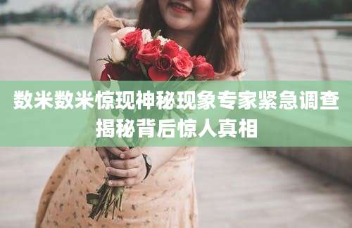 数米数米惊现神秘现象专家紧急调查揭秘背后惊人真相