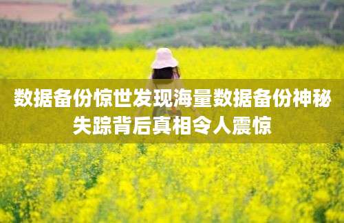 数据备份惊世发现海量数据备份神秘失踪背后真相令人震惊