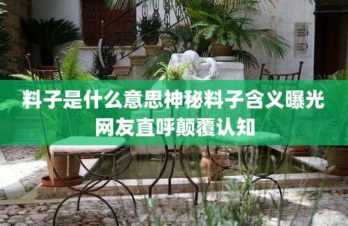 料子是什么意思神秘料子含义曝光网友直呼颠覆认知