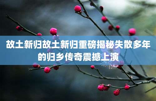故土新归故土新归重磅揭秘失散多年的归乡传奇震撼上演