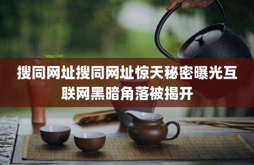 搜同网址搜同网址惊天秘密曝光互联网黑暗角落被揭开
