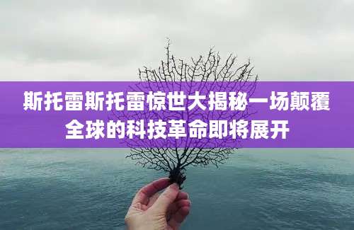 斯托雷斯托雷惊世大揭秘一场颠覆全球的科技革命即将展开