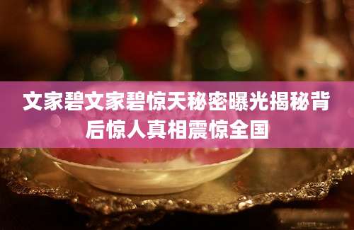 文家碧文家碧惊天秘密曝光揭秘背后惊人真相震惊全国