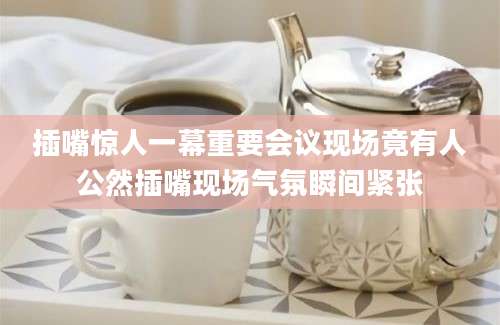 插嘴惊人一幕重要会议现场竟有人公然插嘴现场气氛瞬间紧张