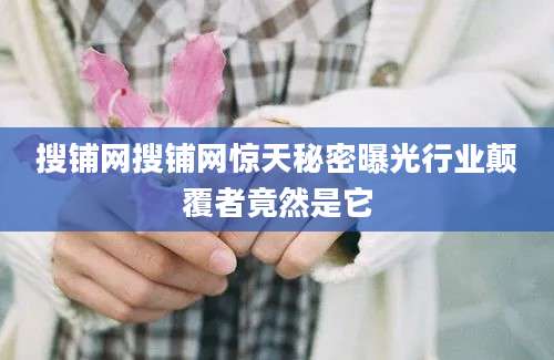 搜铺网搜铺网惊天秘密曝光行业颠覆者竟然是它