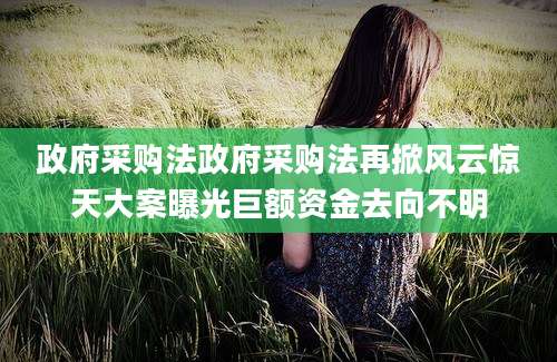 政府采购法政府采购法再掀风云惊天大案曝光巨额资金去向不明