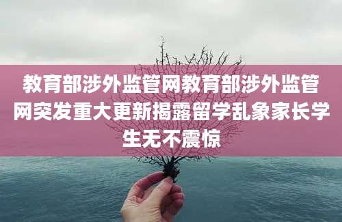 教育部涉外监管网教育部涉外监管网突发重大更新揭露留学乱象家长学生无不震惊