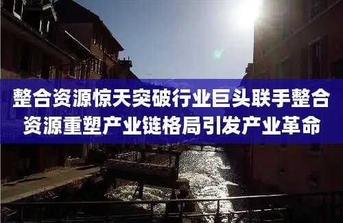 整合资源惊天突破行业巨头联手整合资源重塑产业链格局引发产业革命