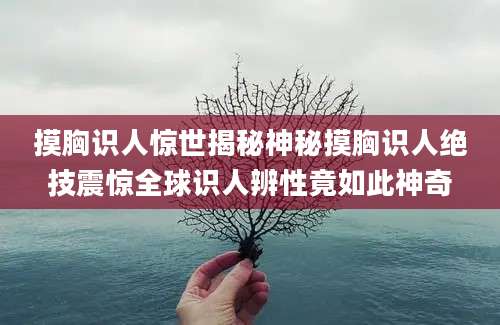 摸胸识人惊世揭秘神秘摸胸识人绝技震惊全球识人辨性竟如此神奇