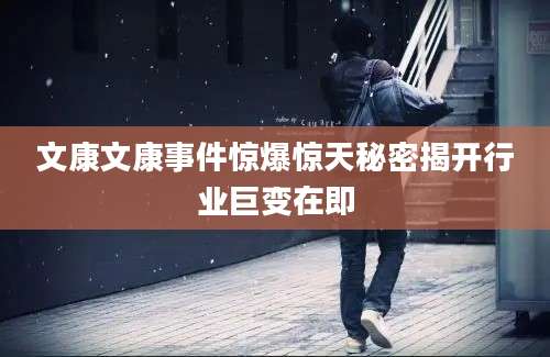 文康文康事件惊爆惊天秘密揭开行业巨变在即