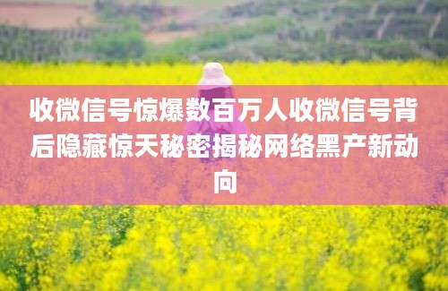 收微信号惊爆数百万人收微信号背后隐藏惊天秘密揭秘网络黑产新动向