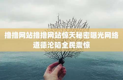 撸撸网站撸撸网站惊天秘密曝光网络道德沦陷全民震惊