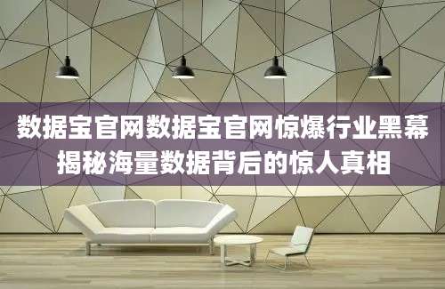 数据宝官网数据宝官网惊爆行业黑幕揭秘海量数据背后的惊人真相