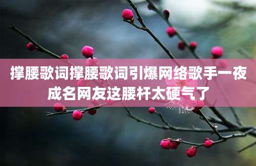 撑腰歌词撑腰歌词引爆网络歌手一夜成名网友这腰杆太硬气了
