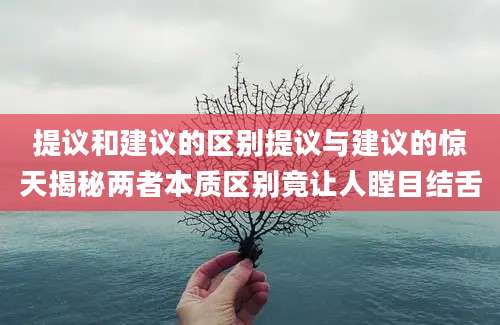 提议和建议的区别提议与建议的惊天揭秘两者本质区别竟让人瞠目结舌