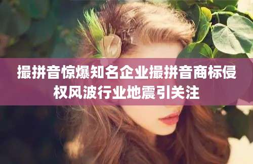 撮拼音惊爆知名企业撮拼音商标侵权风波行业地震引关注