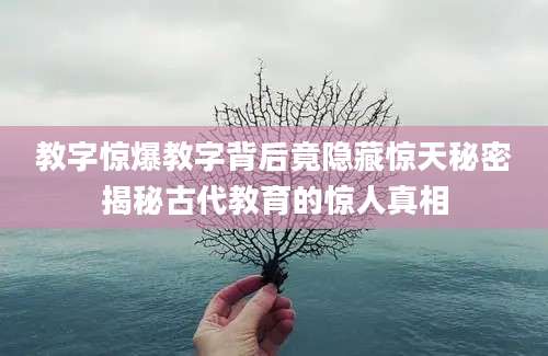 教字惊爆教字背后竟隐藏惊天秘密揭秘古代教育的惊人真相