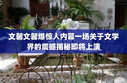 文馨文馨爆惊人内幕一场关于文学界的震撼揭秘即将上演