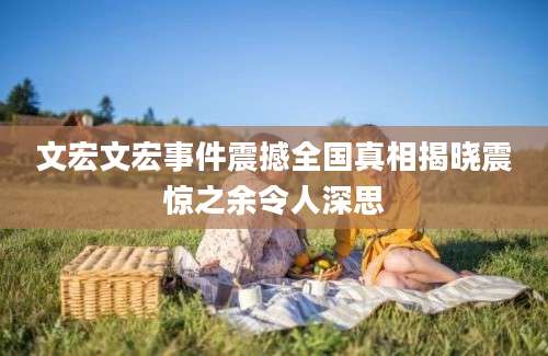 文宏文宏事件震撼全国真相揭晓震惊之余令人深思
