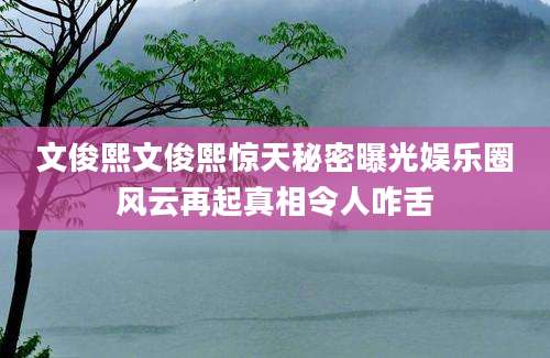 文俊熙文俊熙惊天秘密曝光娱乐圈风云再起真相令人咋舌