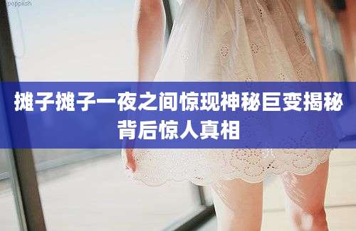 摊子摊子一夜之间惊现神秘巨变揭秘背后惊人真相