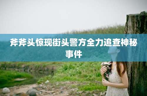 斧斧头惊现街头警方全力追查神秘事件
