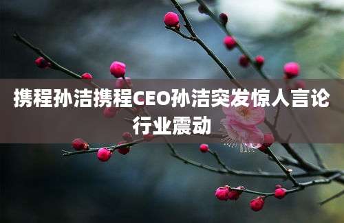 携程孙洁携程CEO孙洁突发惊人言论行业震动