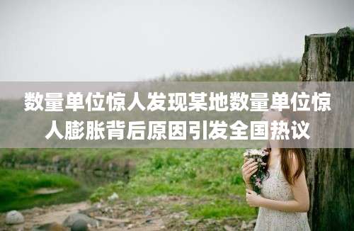数量单位惊人发现某地数量单位惊人膨胀背后原因引发全国热议