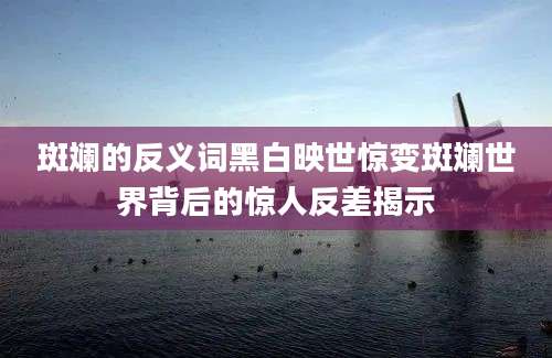 斑斓的反义词黑白映世惊变斑斓世界背后的惊人反差揭示